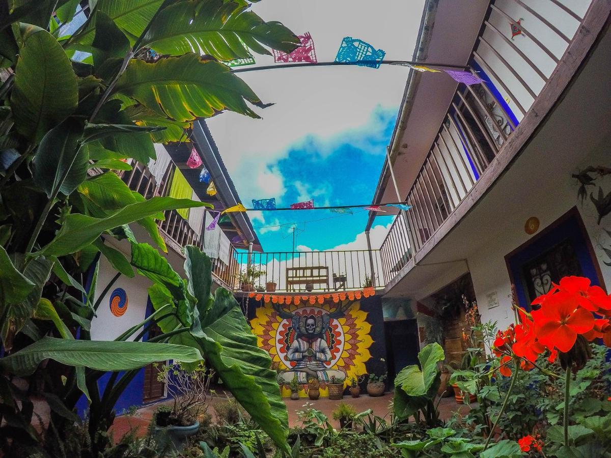 Hostel El Nagual San Cristóbal de Las Casas Buitenkant foto